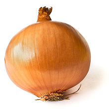 Baby is the size of an onion